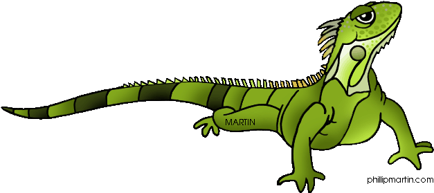 Rainforest Animals Clip Art By Phillip Martin - Clip Art Iguana (648x296)
