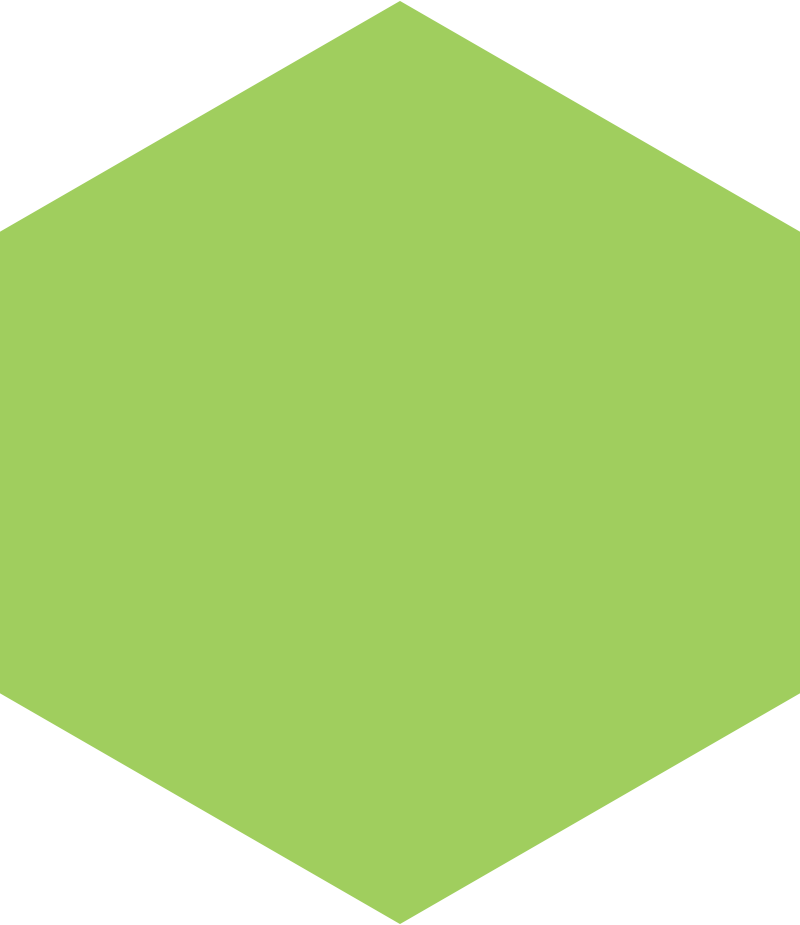 Andy Byford Will Repair The New York Subway System - Light Green Hexagon Png (800x925)