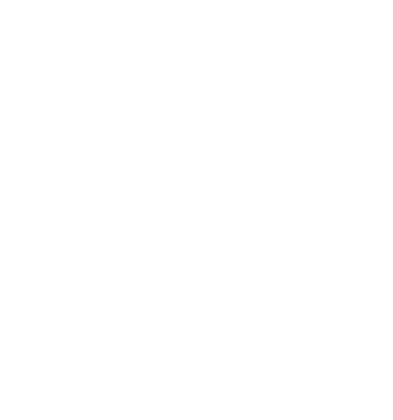 Alt Text - Park Cameras (371x397)