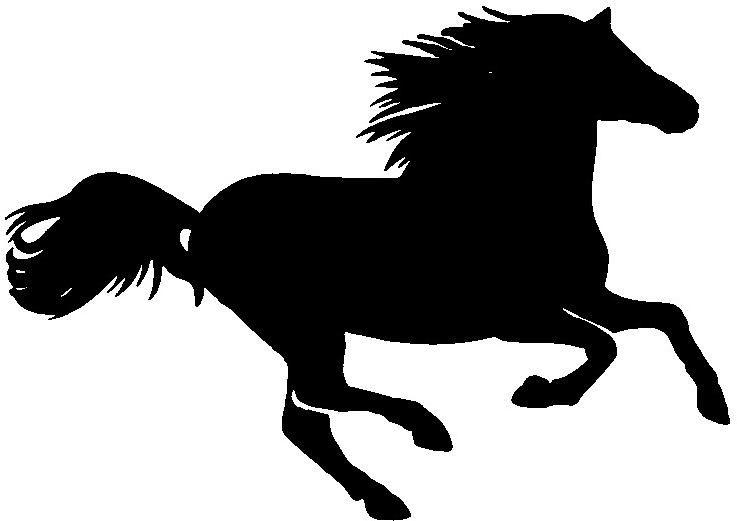 Wanted! Two Guns In A Dress (794x581)