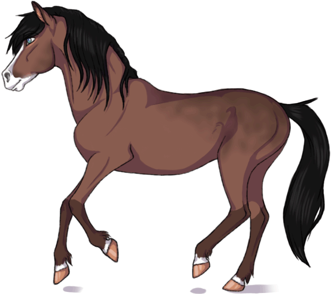 Cause We Love To See Them Run By Kamis-cafe - Hareketli At Gifleri (1200x737)