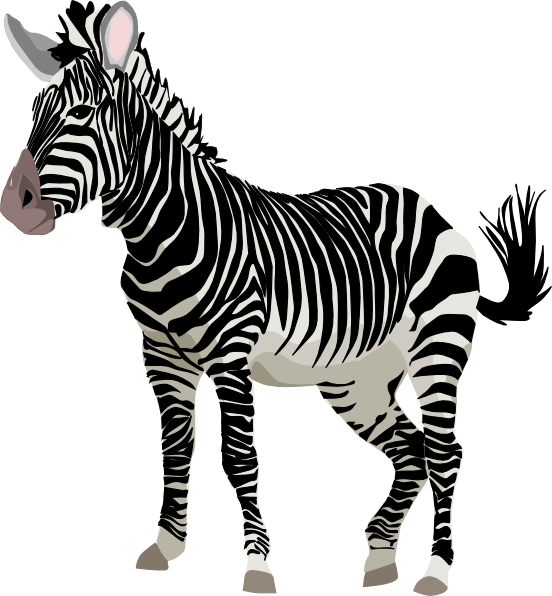 Zebra Clipart - Love Zebras Ornament (round) (552x596)