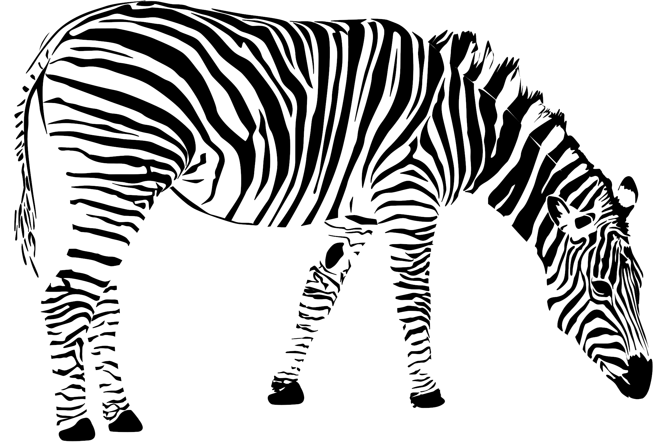 Zebra Clip Art - Buntes Clipart (2400x1697)