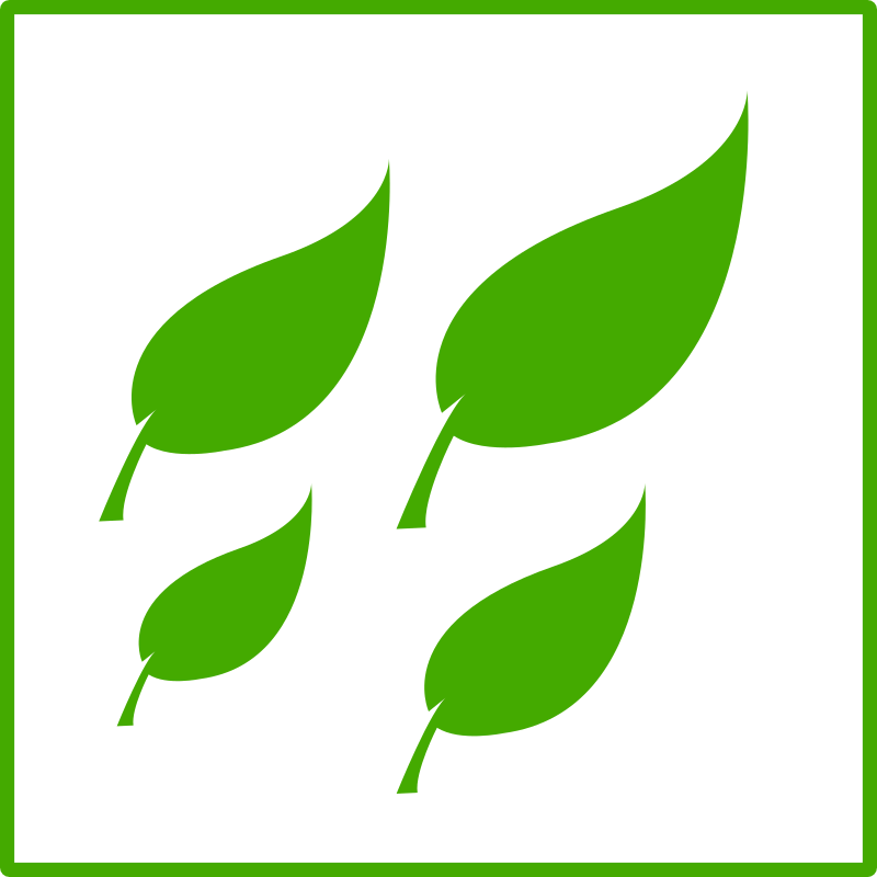 Eco Leaf, Leaves Icon Png Image - Leave Green Eco Icon (800x800)