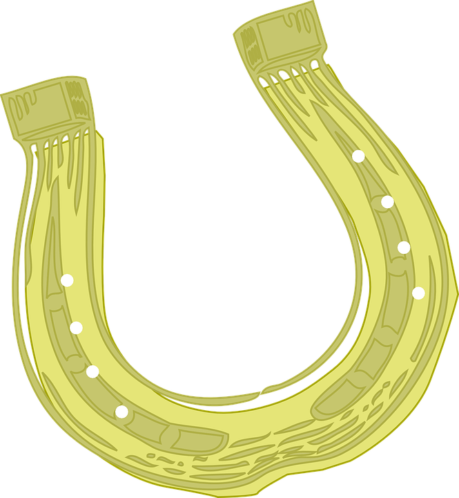 Collection Of Pictures Of Horseshoes - Transparent Golden Horseshoe Png (665x720)
