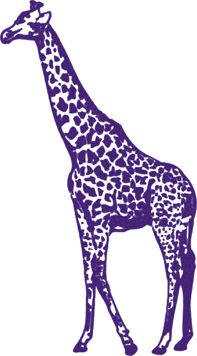 Purple Giraffe - Purple Giraffe (663x1200)