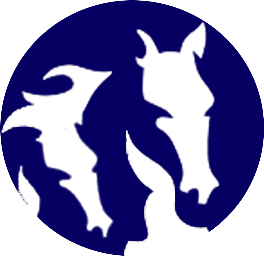 Back Home - Horse (1000x906)