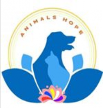 Donasi Untuk Animals Hope Shelter - Animal Hope Shelter (634x357)