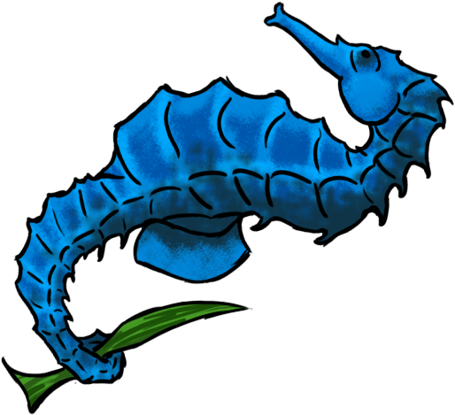Browse And Download Seahorse Png Pictures Image - Browse And Download Seahorse Png Pictures Image (640x480)