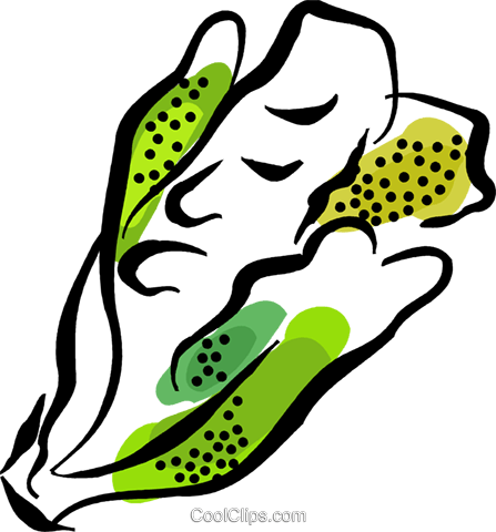 Romaine Lettuce Royalty Free Vector Clip Art Illustration - Romaine Lettuce Royalty Free Vector Clip Art Illustration (447x480)