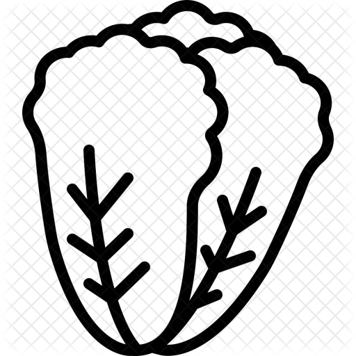 Romaine Icon - Food (512x512)