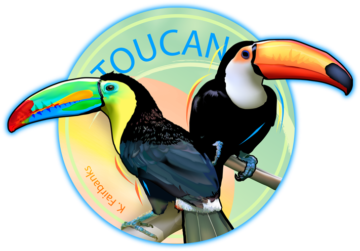 28 Collection Of Toucan Drawing Color - Toucan Drawing With Color (723x524)