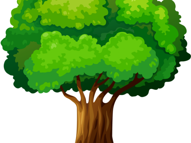 Stump Clipart Transparent Background - Desenhos De Arvores Coloridas (640x480)