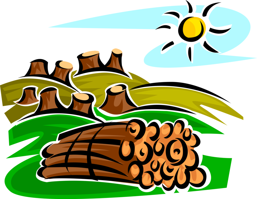 Vector Illustration Of Forestry And Logging And Wood - Forestry Clipart (904x700)