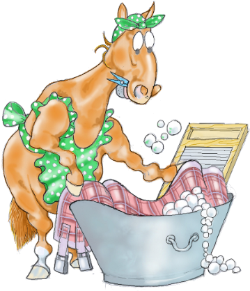 Kate Scurfield Horse Image - Kate Scurfield (370x417)