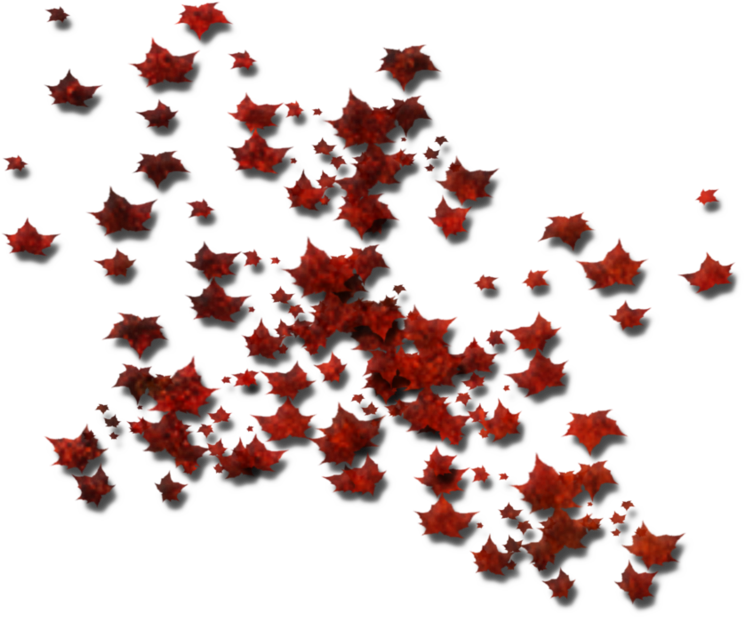 Fall Leaves And Pumpkins Border Png For Kids - Deviantart (800x1000)