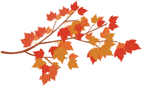 Clip Art Autumn Leaves Border Branch Download - Einkaufskönigin-sammlung Wiederverwendbare Einkaufstasche (534x366)