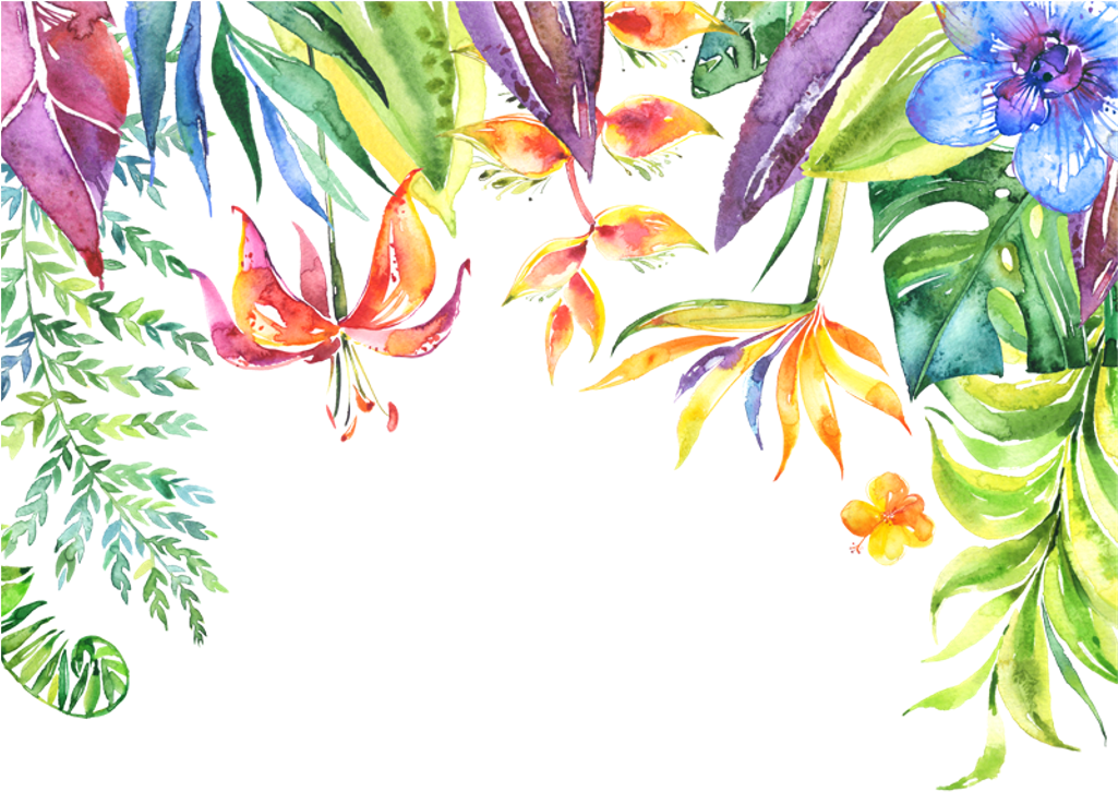 Tropical Leaves Flowers Plants Border - Tropical Frame Transparent Background (1024x1024)