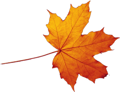Px - Autumn Leaves Transparent (415x323)