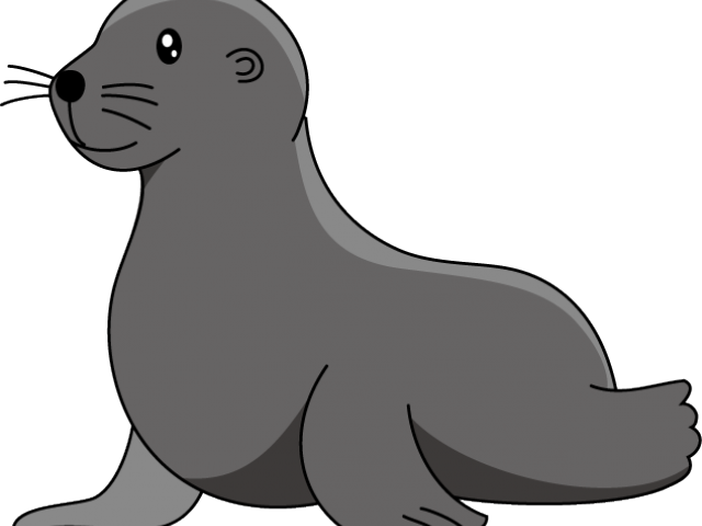 Harp Seal Clipart Transparent - Clip Art (640x480)