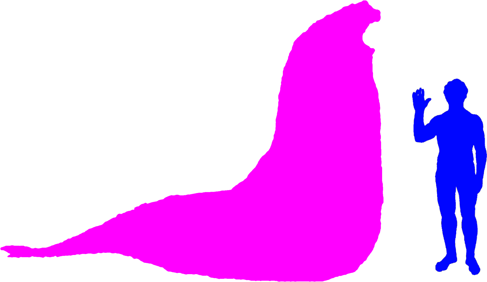 An Elephant Seal And - Southern Elephant Seal Size Comparison (2301x1365)