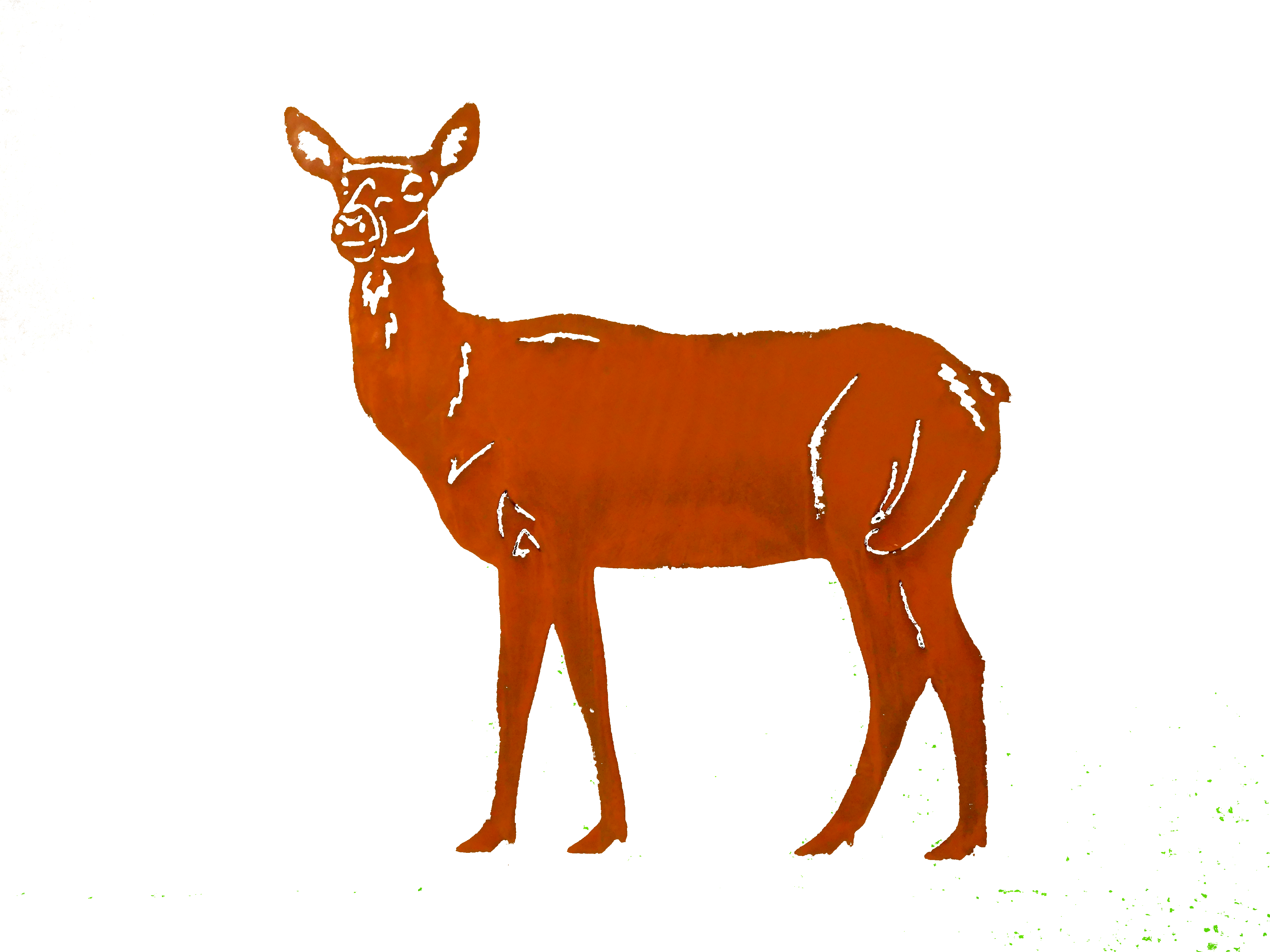 Doe-small Larger Image - Roe Deer (4608x3456)