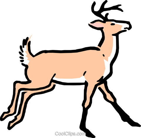 Buck Clipart Caribou - Cartoon Deer (480x470)