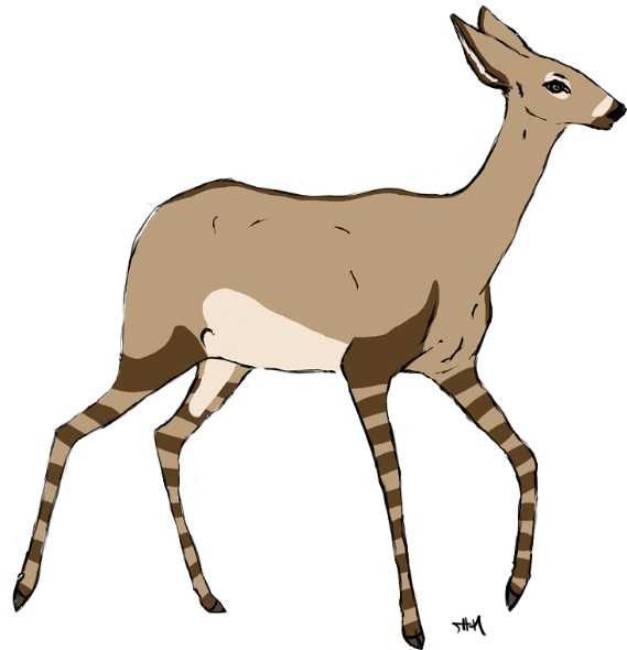 I Used To Keep A Whole List Of Emiva's Friends, But - Roe Deer (569x590)