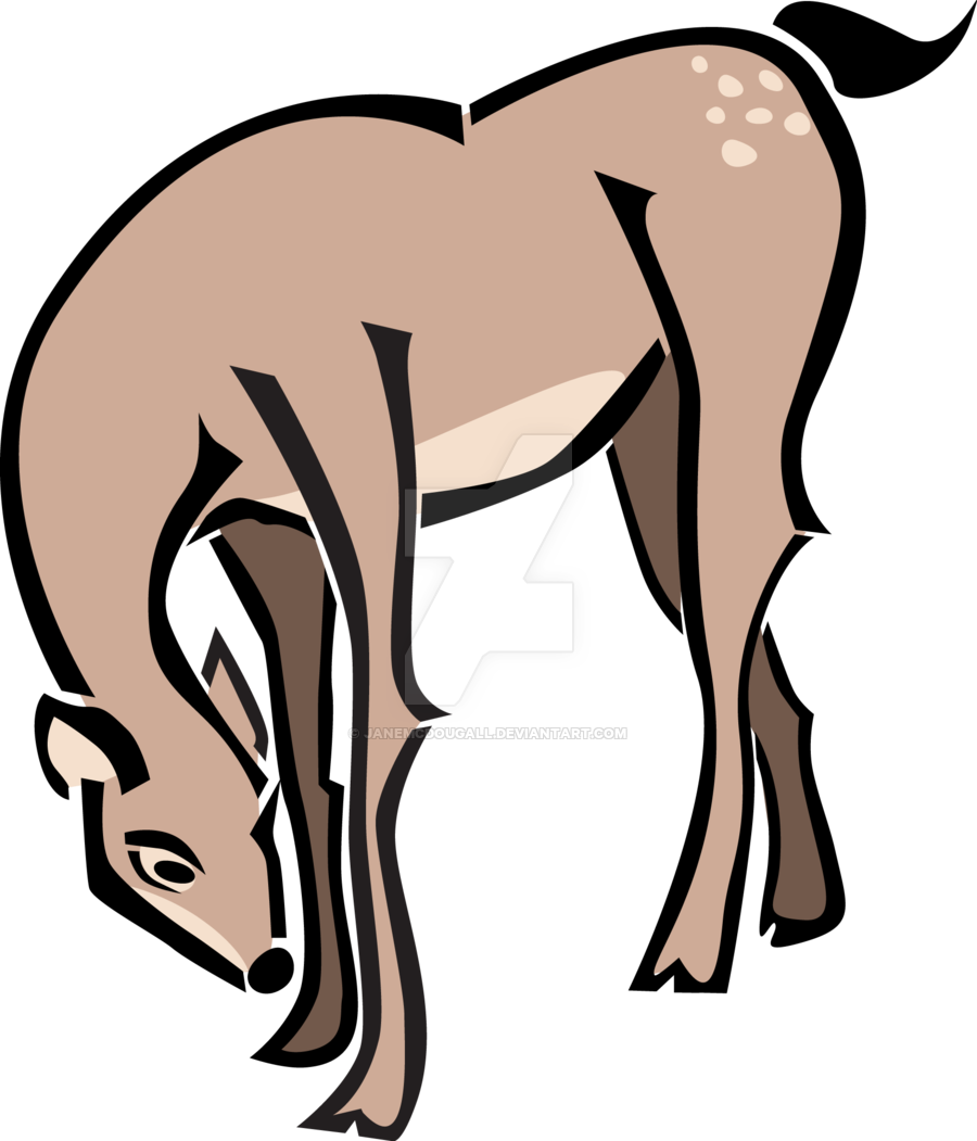 Bambi Mother, Doe A Deer, Deer Drawing By Janemcdougall - Mother Deer Drawings (900x1051)