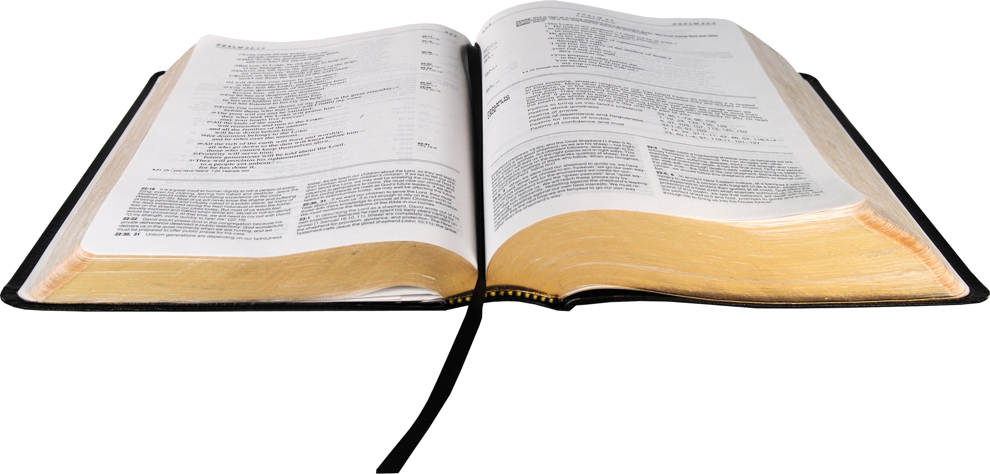 Bible Png - Open Bible Png (3200x1532)