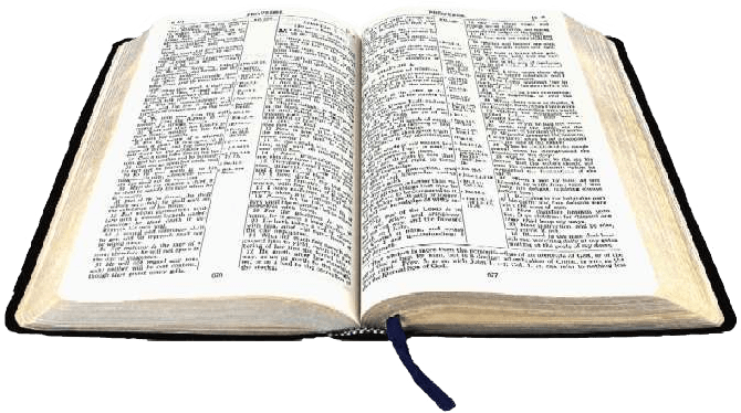 Open Bible Transparent Png - Png Bible (670x374)