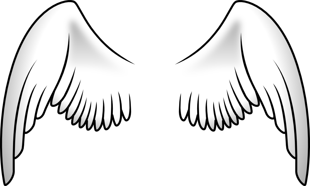 Clip Art Details - Cartoon Wings Transparent Background (1000x601)