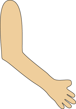 Arm - Arms Clipart (303x433)