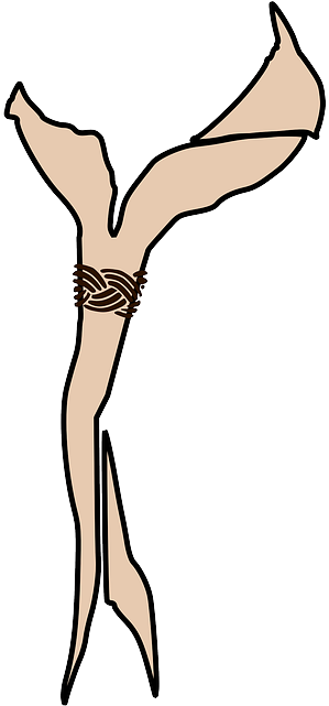 Knot, Scout, Scarf, Neck, Scouts, Tied - Scout Scarf Png (320x640)