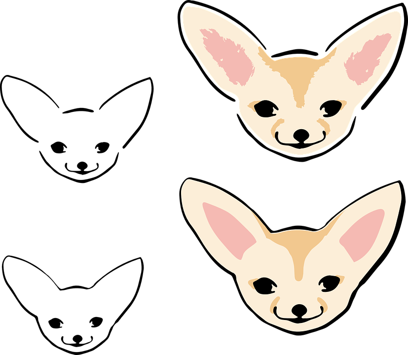 Chihuahua Puppy Red Fox Fennec Fox Clip Art - Fennec Fox Drawing Png (827x720)