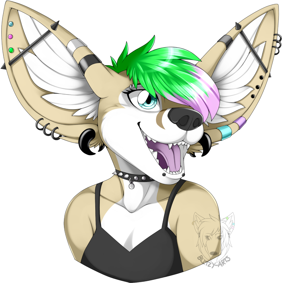 Lacey - Furry Fennec Fox Drawing (996x1000)