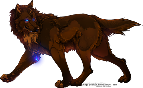 A&o Anime Wolf Pack Wallpaper Called Oh Yeah - Dark Brown Wolf Anime (500x310)