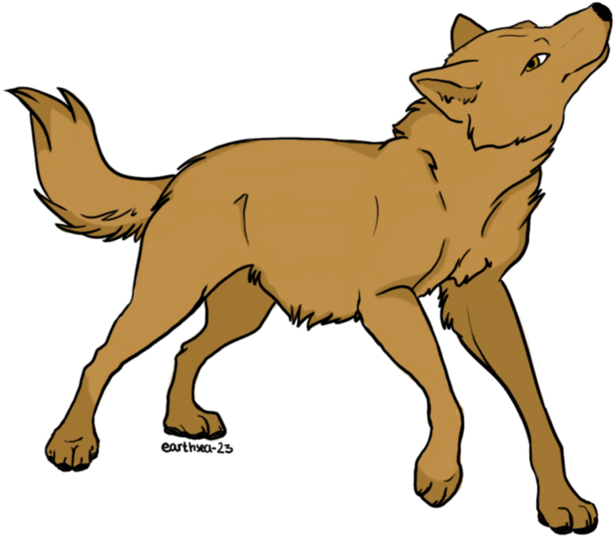 Dog Red Fox Drawing Clip Art - Brown Wolf Drawing (1008x792)