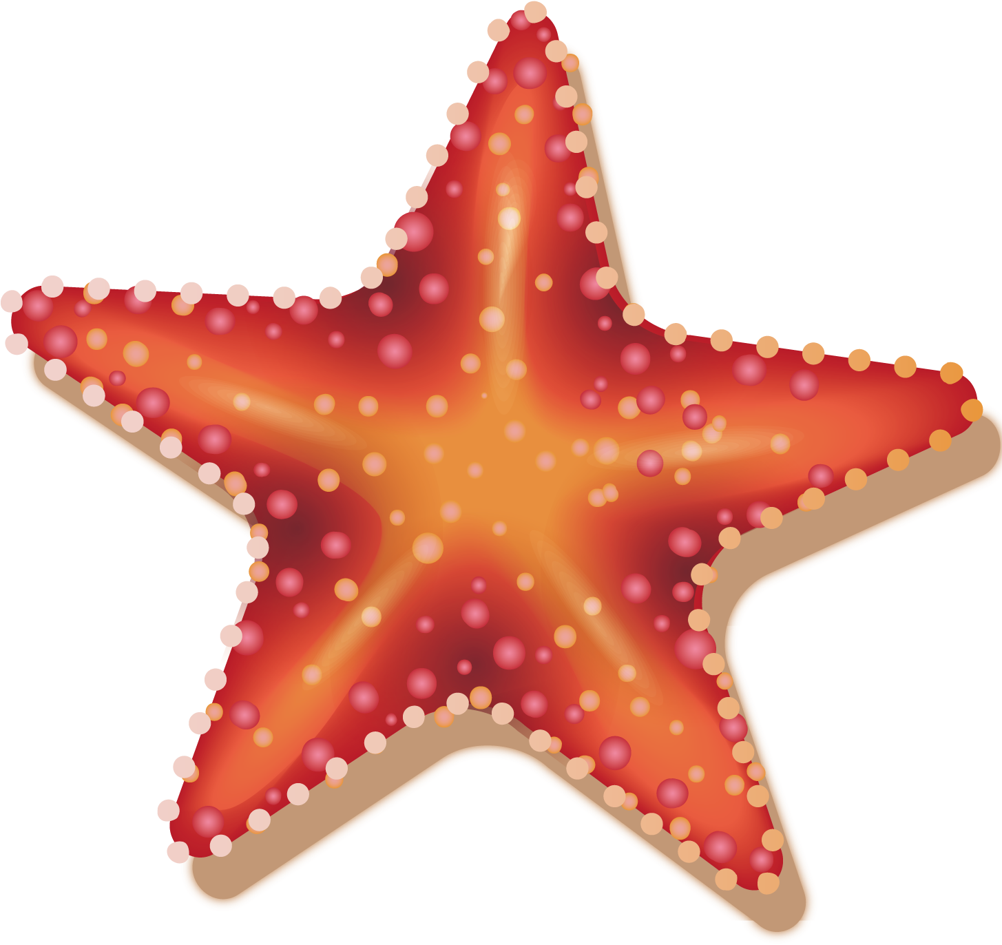 Vector Starfish Decoration - Marine Biology (1500x1500)