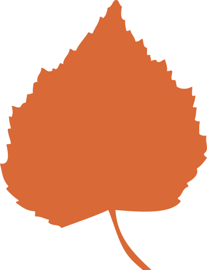 Chaga Tea Birch Leaf - Chaga Mushroom (424x552)