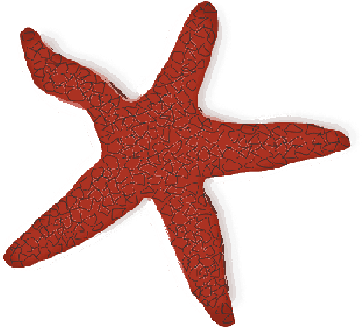Starfish, Beach, Ocean, Marine Life, Seaside, Red, - Red Starfish Clipart (800x467)