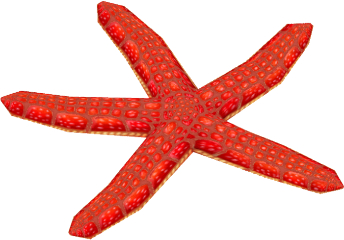 Red Mesh Starfish - Starfish (700x700)