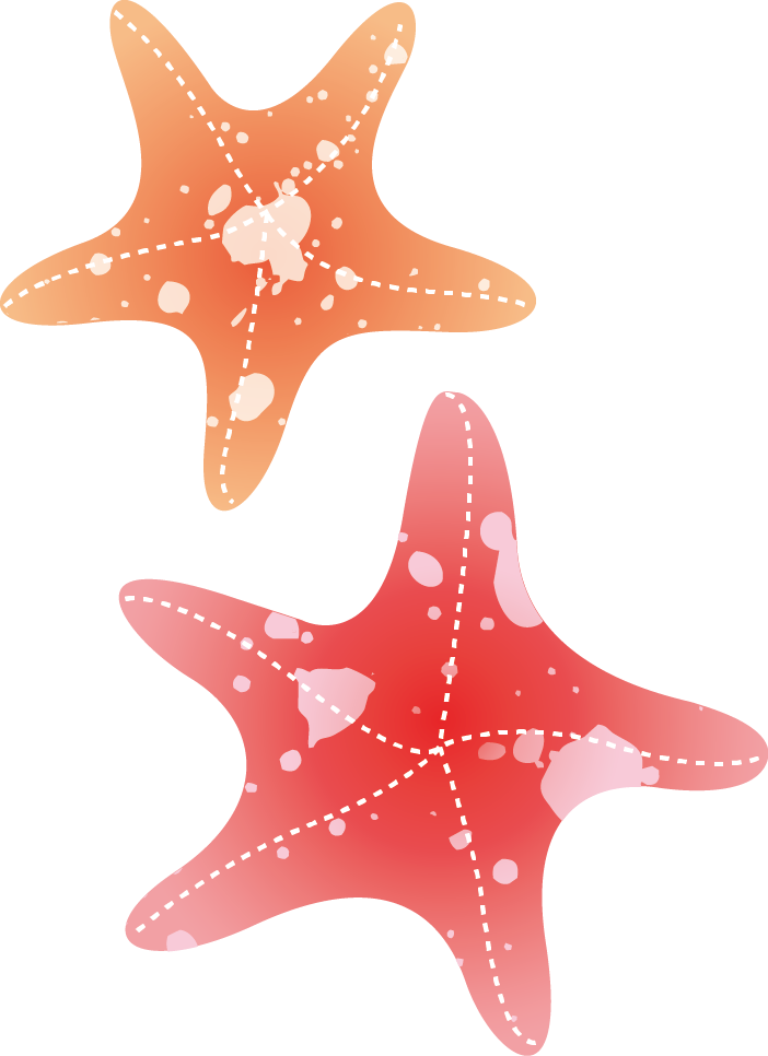 Starfish Drawing Watercolor Painting - Marine Invertebrates (702x966)