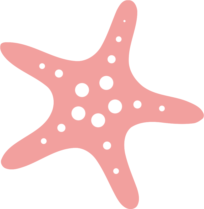 Sequins, Sewing & Runways Fashion Camp - Abigail Academy (900x900)