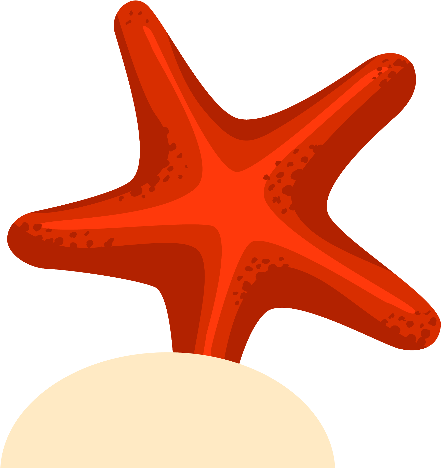 Starfish Drawing Euclidean Vector - Estrela Do Mar Desenho (2083x2083)