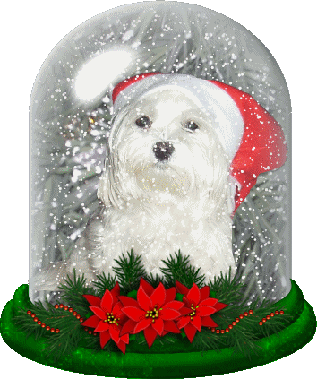 Snow Globe - Google Search - Christmas Swag (354x423)