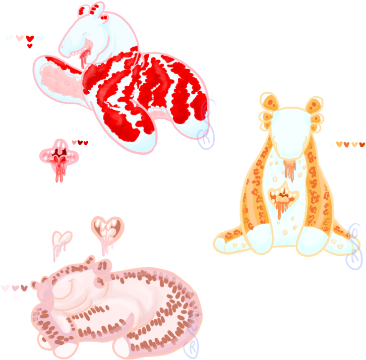 Doughboy Starfish Snaps Adopts Closed By Creamy-galaxies - Illustration (800x800)