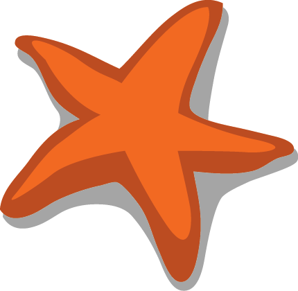 Marine Metre Squared Newsletter - Starfish (430x420)