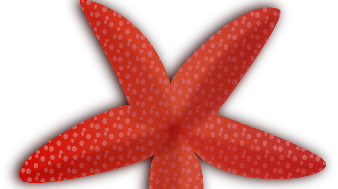 Starfish Cartoon Png (1200x630)