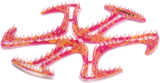 Echinoderm (600x345)